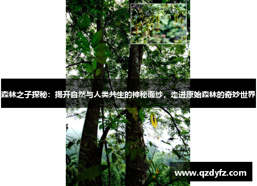 森林之子探秘：揭开自然与人类共生的神秘面纱，走进原始森林的奇妙世界